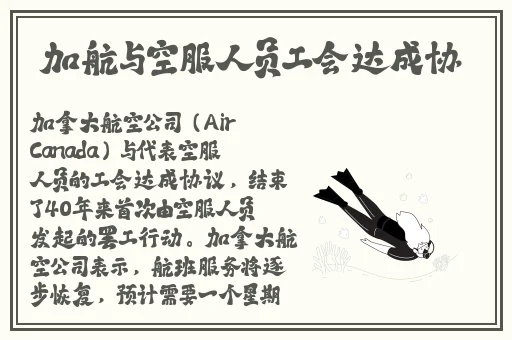打扑克脱色摇床